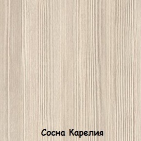 Шкаф 500 мм ДМ-03 Серия 2 (СВ) в Первоуральске - pervouralsk.mebel-e96.ru