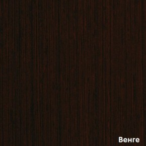 Шкаф-купе Рио 1-600 Амели (полки справа) в Первоуральске - pervouralsk.mebel-e96.ru