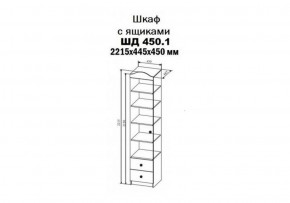 Шкаф-пенал KI-KI 450 мм, ШД450.1 (ДСВ) в Первоуральске - pervouralsk.mebel-e96.ru